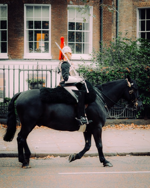Reiter der Household Cavalry auf schwarzem Pferd